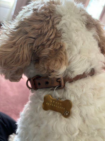 Personalised Dog tags