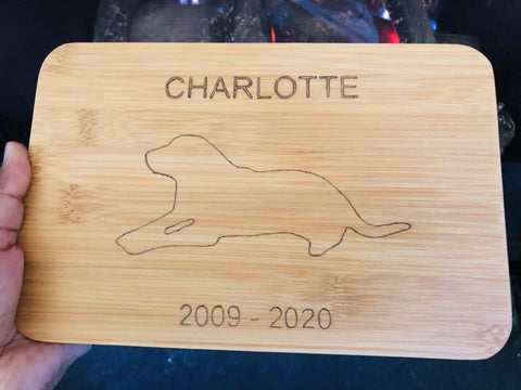 Pet memorial board - Pretty Perfect Gift Hampers